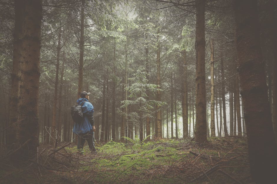 A man in a blue raincoat hikes through a lush forest, capturing the essence of adventure in nature