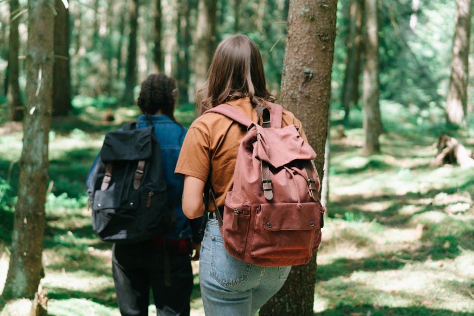 Two hikers with backpacks explore a dense forest path, surrounded by tall trees and greenery